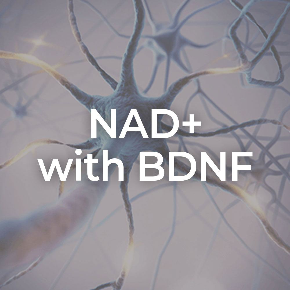NAD+ with BDNF
